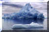 iceberg.jpg (182008 bytes)